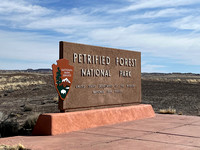 Petrified forest national Park
