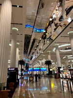 The Dubai Airport